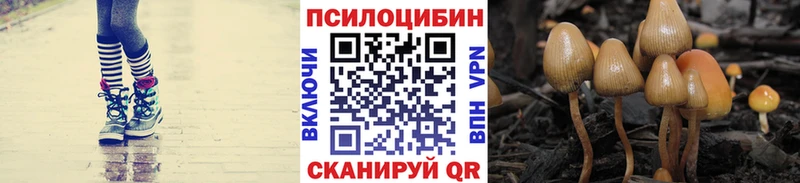 ссылка на мегу как зайти  Горно-Алтайск  Галлюциногенные грибы прущие грибы  где купить  